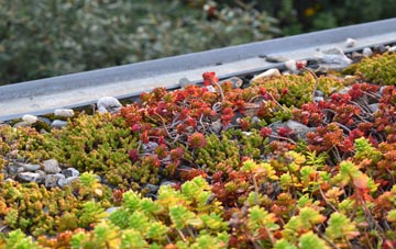 the cost of Glenowen green roof installation