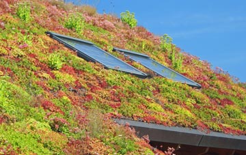 Glenowen living roof systems