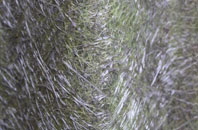 Glenowen fibreglass roof work